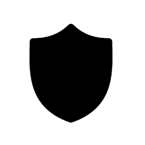 App Privacy Policy Page Accessing Button Icon